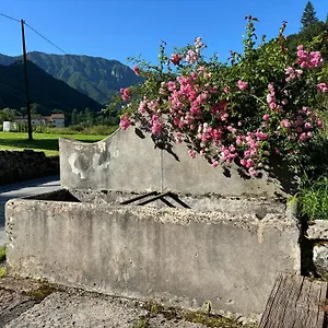 Quinta Essenza Casoni Zanolla